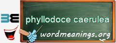 WordMeaning blackboard for phyllodoce caerulea